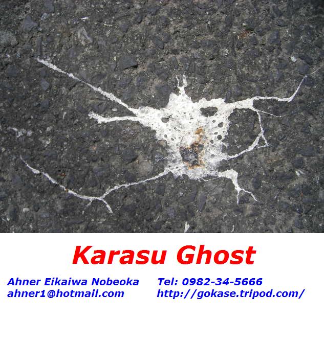 karasu-ghost.jpg