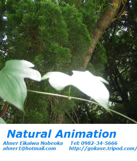 natural-animation.jpg